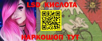 Альфа ПВП Кандалакша