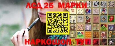 Альфа ПВП Кандалакша