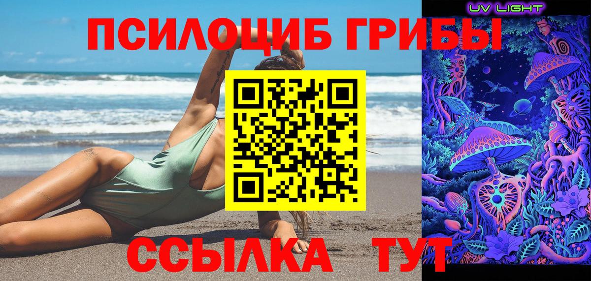 Галлюциногенные грибы GOLDEN TEACHER  Вход с VPN  Куйбышев 